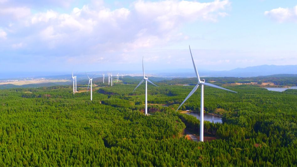 World Largest Wind Farm