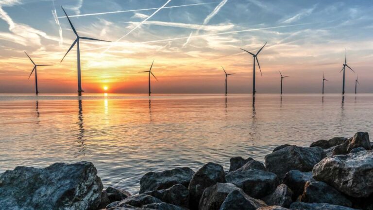 wind is renewable source of energy because it can be easily