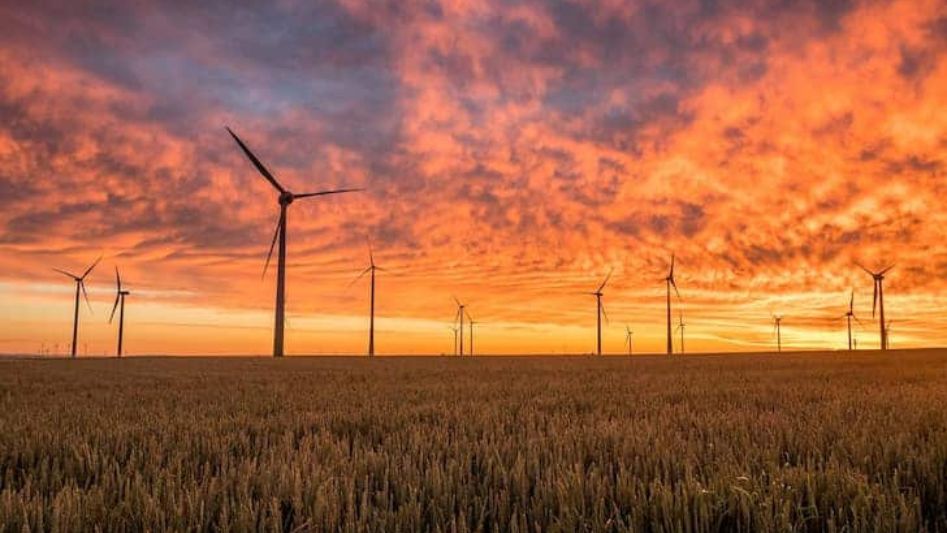 Wind Energy Contribute Zero-Carbon Future