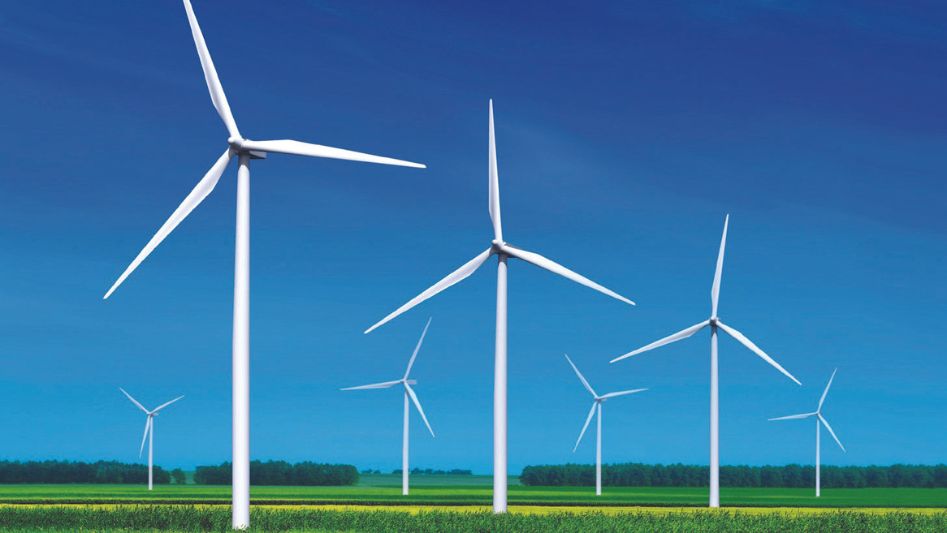 Wind Power and Forest Restoration