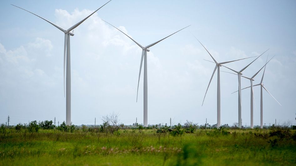 Environmental Impact of Wind Energy