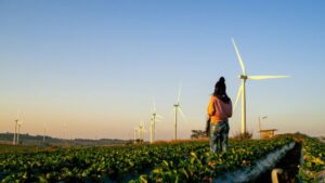 Wind Energy Achieving Sustainable Development Goals