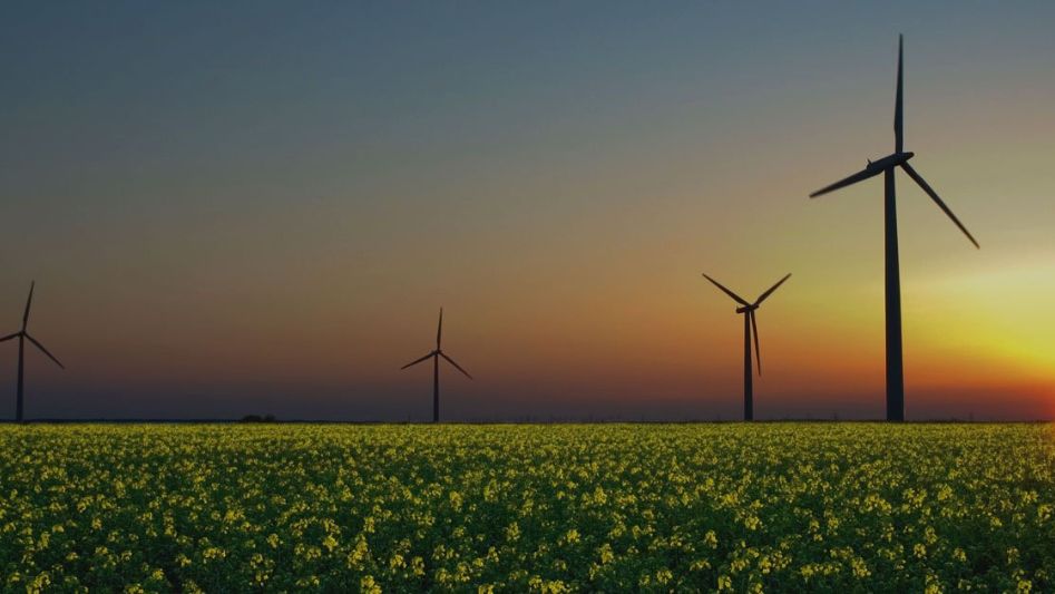 Wind Energy Achieving Sustainable Development Goals