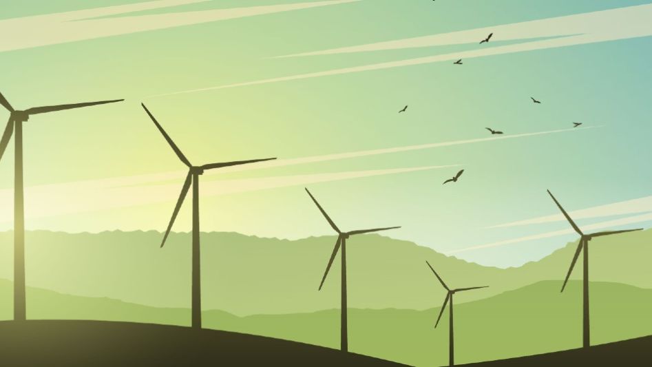 Wind Power and the Environment