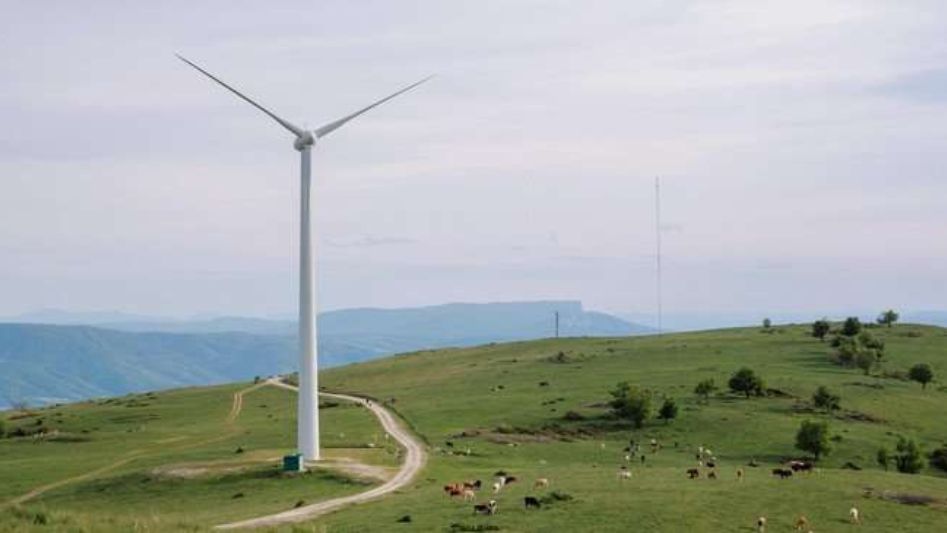 Wind Farms and Biodiversity