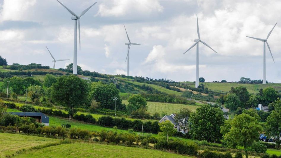 Wind Farms and Biodiversity